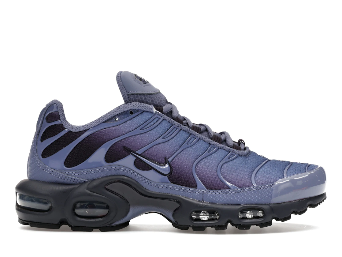 Nike Air Max Plus World Indigo