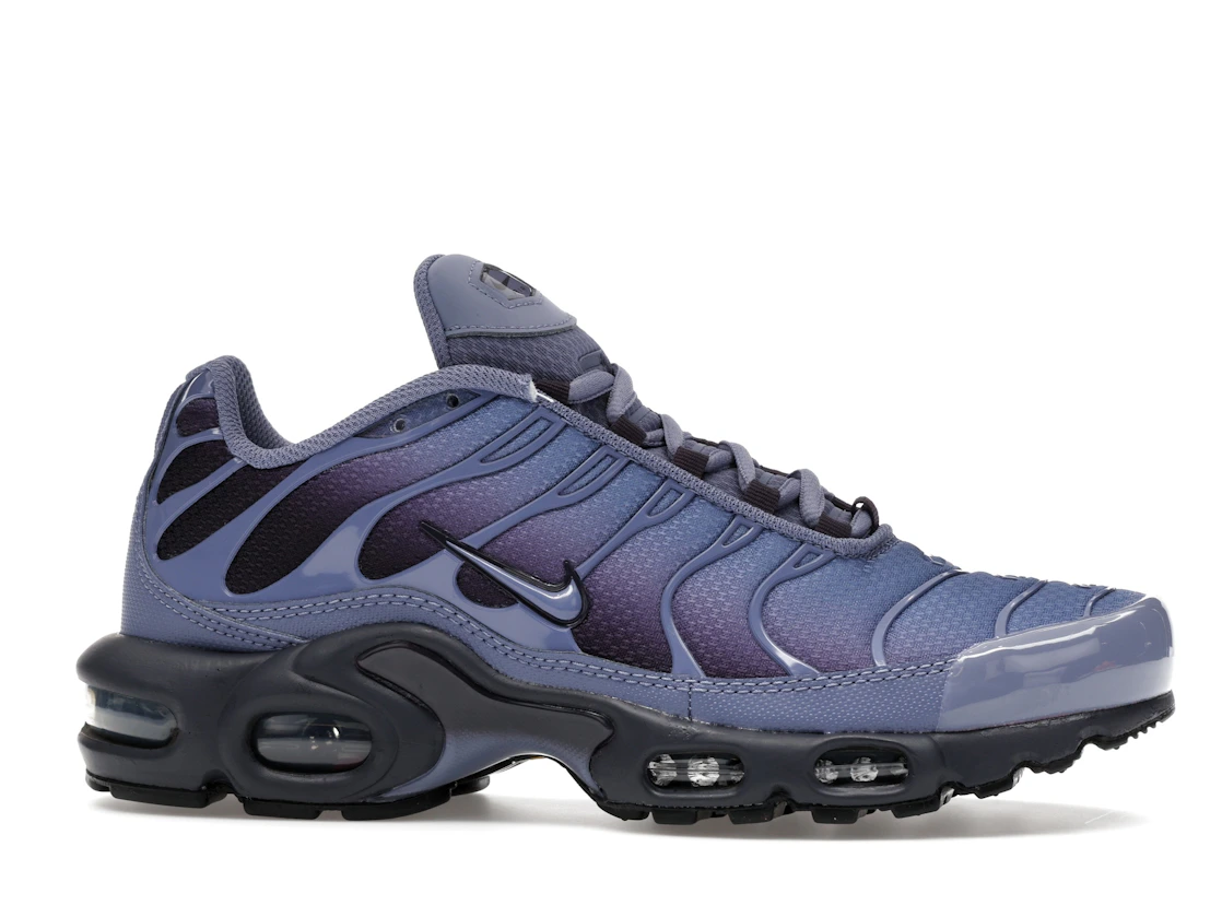 Nike Air Max Plus World Indigo