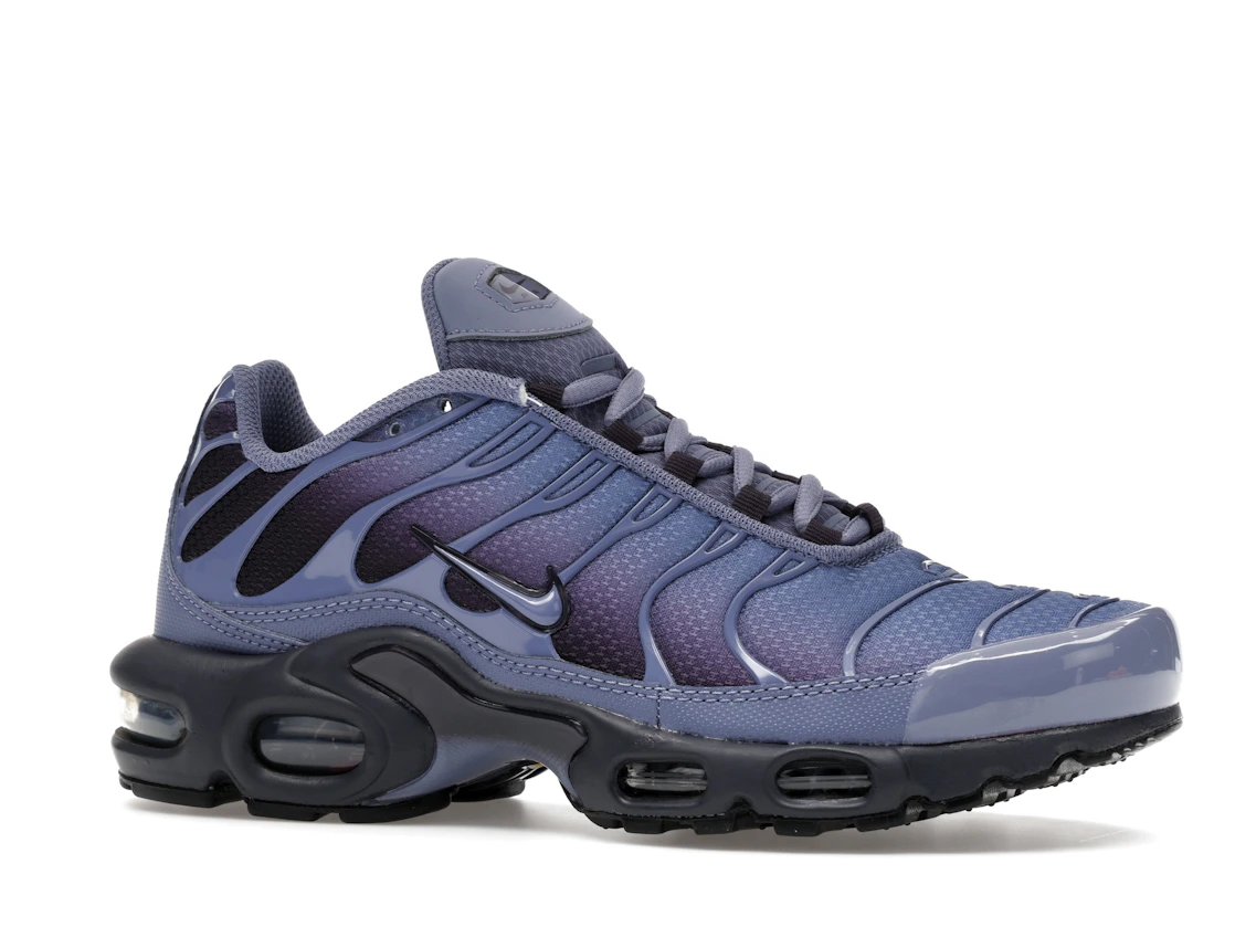 Nike Air Max Plus World Indigo
