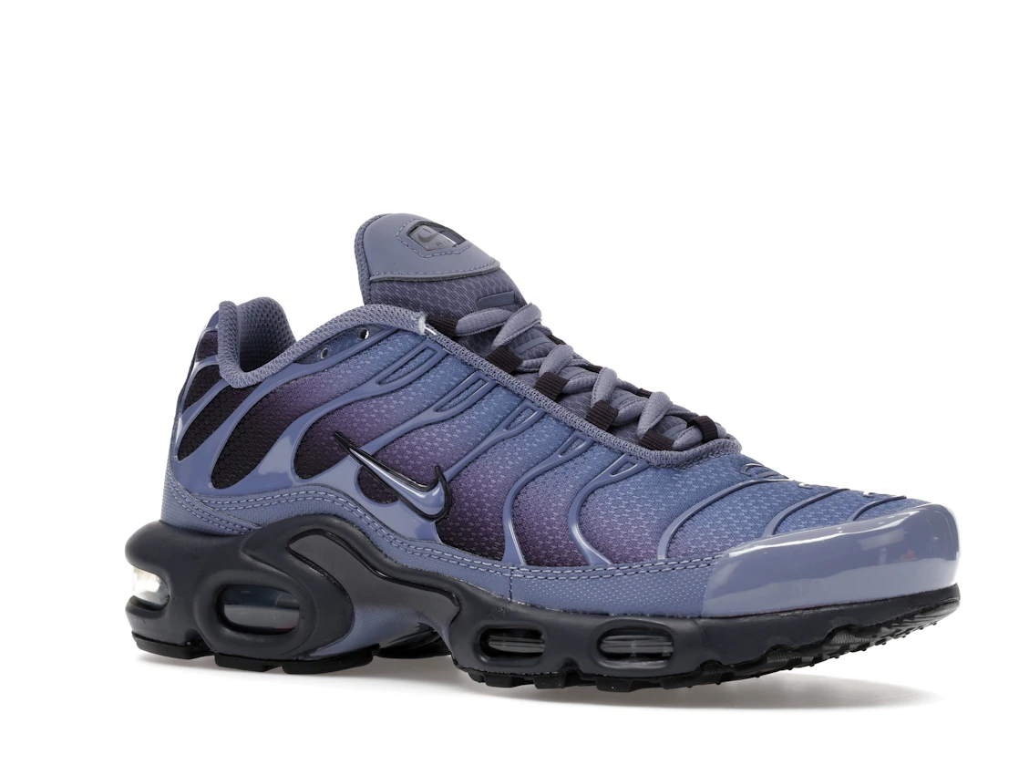Nike Air Max Plus World Indigo