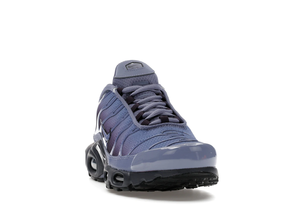 Nike Air Max Plus World Indigo