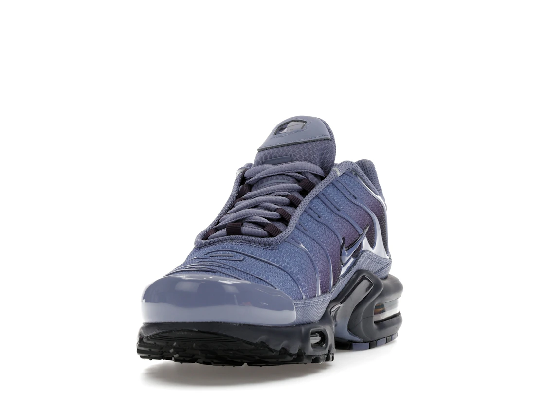 Nike Air Max Plus World Indigo