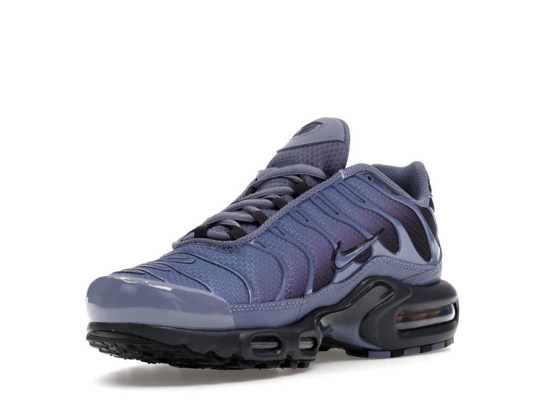 Nike Air Max Plus World Indigo