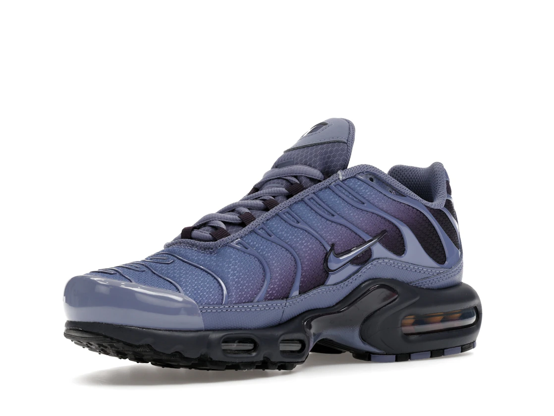 Nike Air Max Plus World Indigo