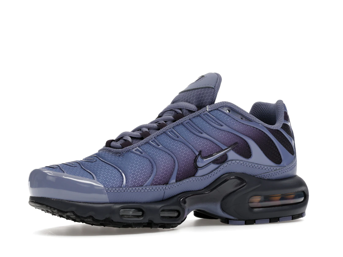 Nike Air Max Plus World Indigo