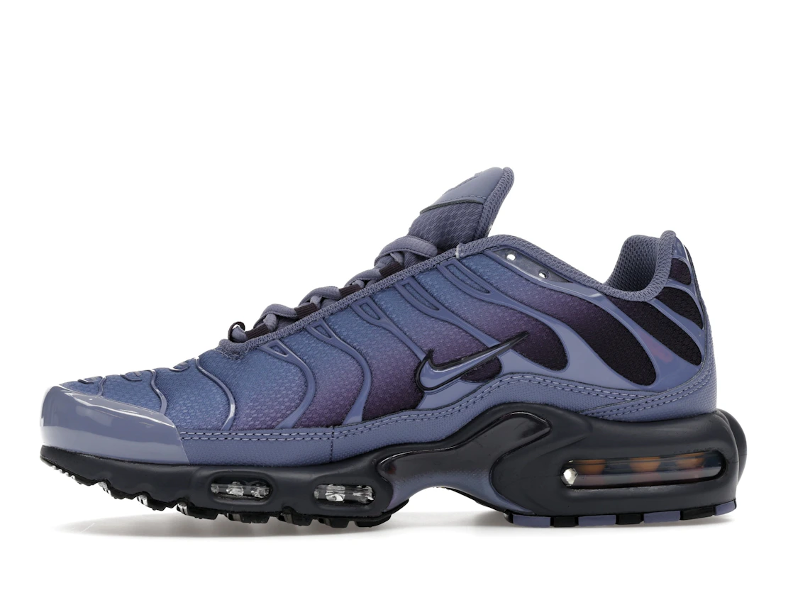 Nike Air Max Plus World Indigo