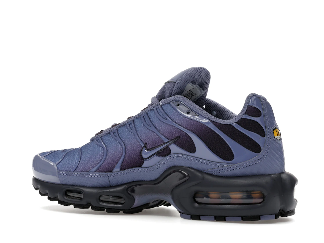Nike Air Max Plus World Indigo