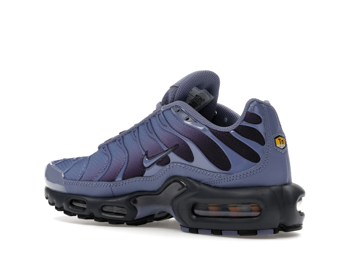Nike Air Max Plus World Indigo