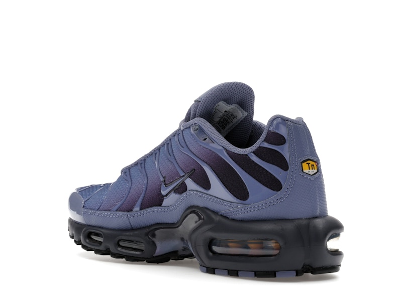 Nike Air Max Plus World Indigo