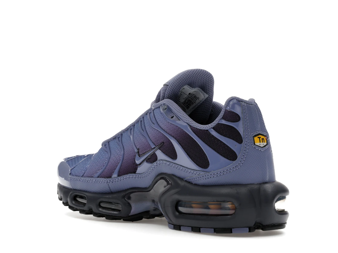 Nike Air Max Plus World Indigo