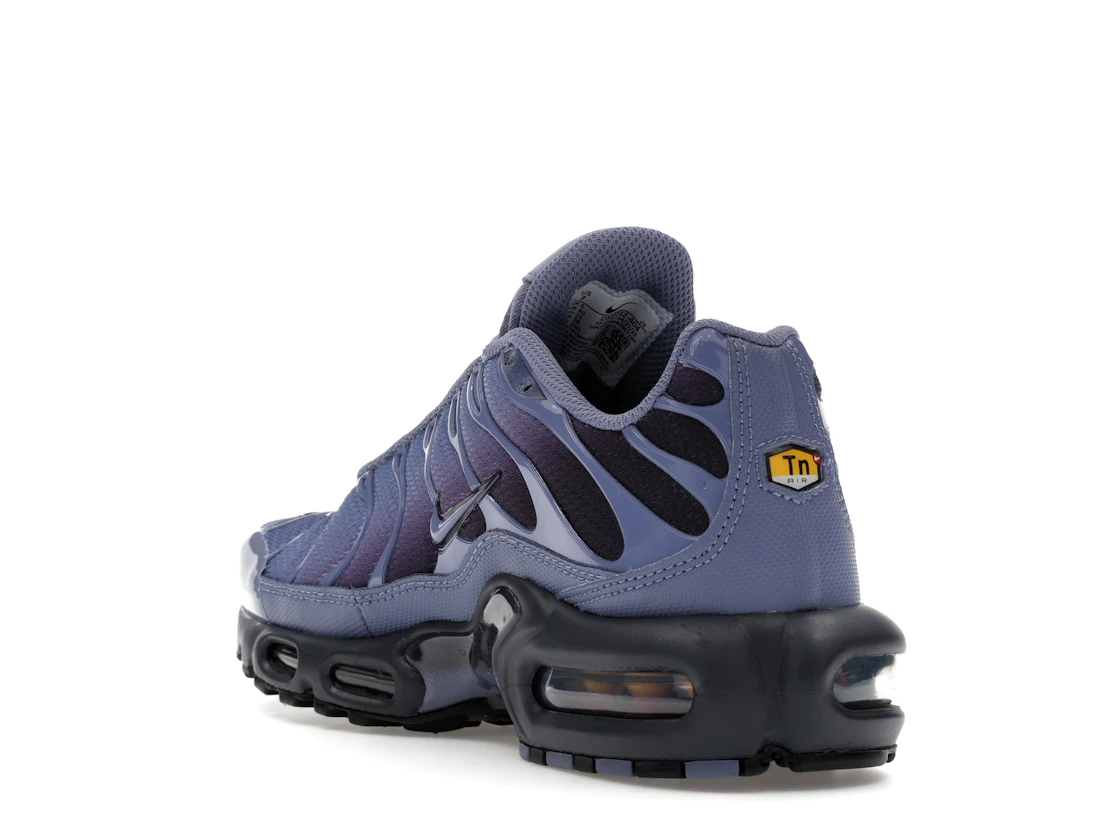 Nike Air Max Plus World Indigo
