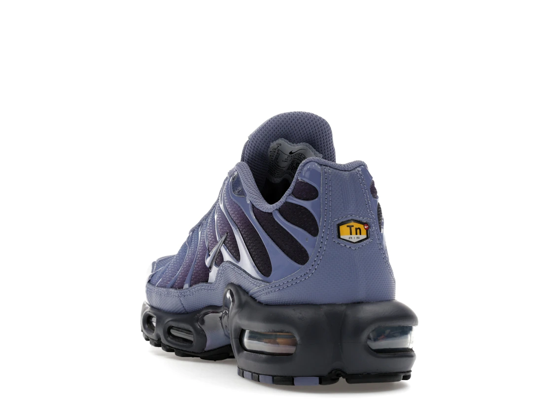 Nike Air Max Plus World Indigo