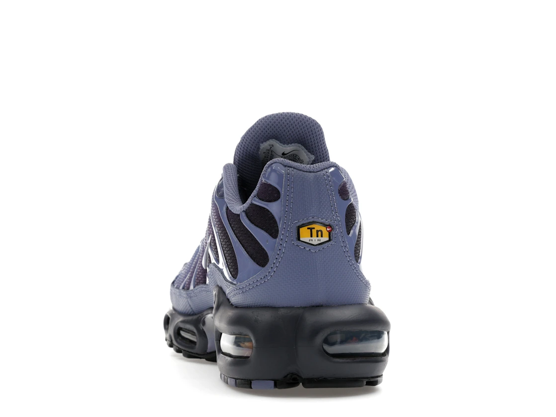 Nike Air Max Plus World Indigo