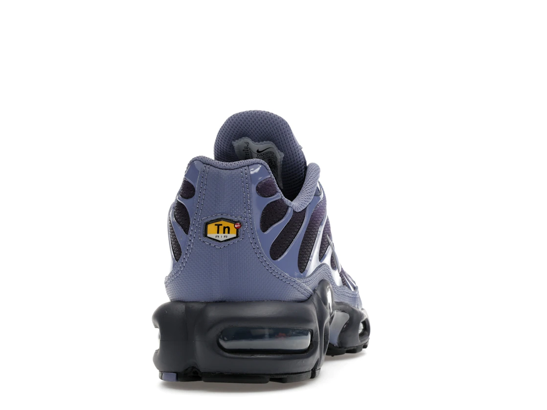 Nike Air Max Plus World Indigo