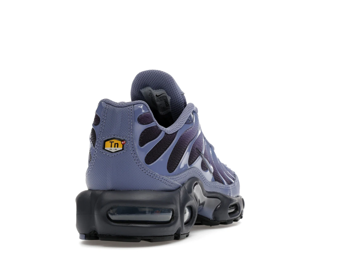Nike Air Max Plus World Indigo