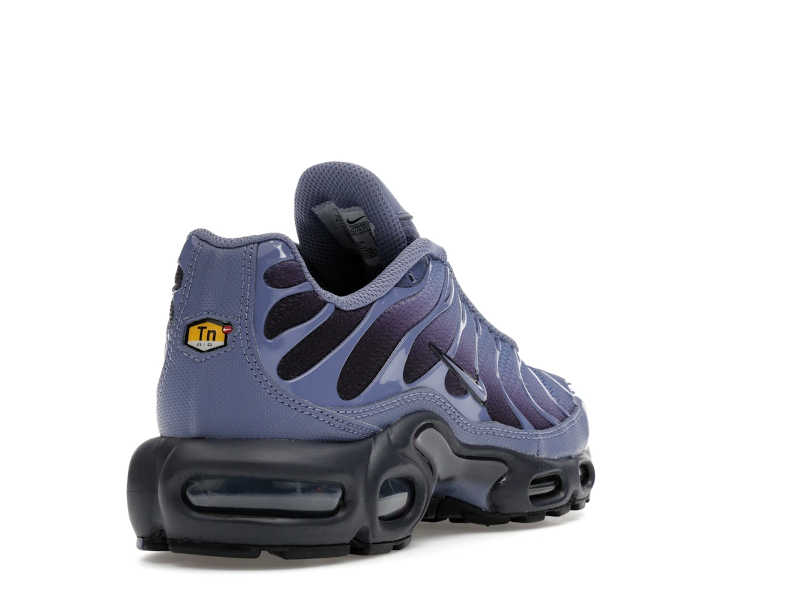 Nike Air Max Plus World Indigo