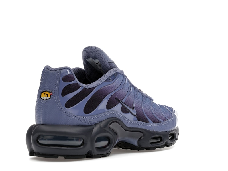 Nike Air Max Plus World Indigo