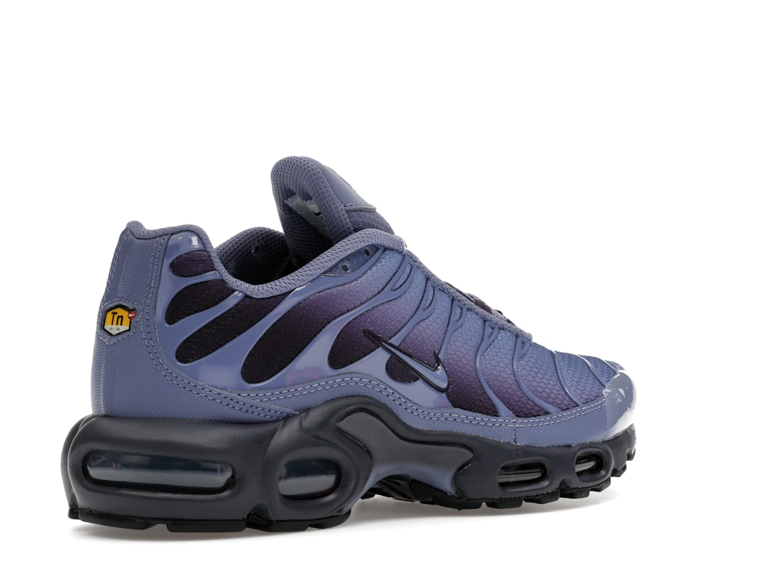 Nike Air Max Plus World Indigo