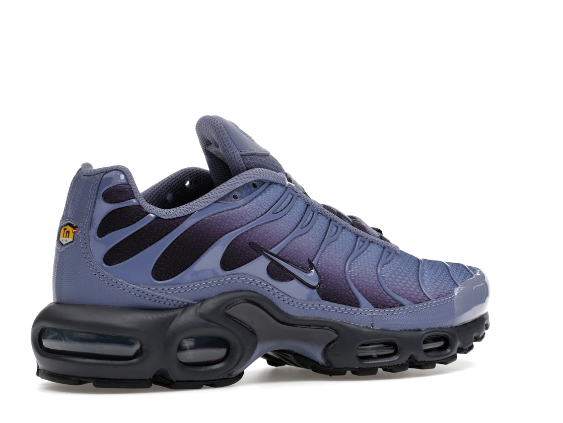 Nike Air Max Plus World Indigo