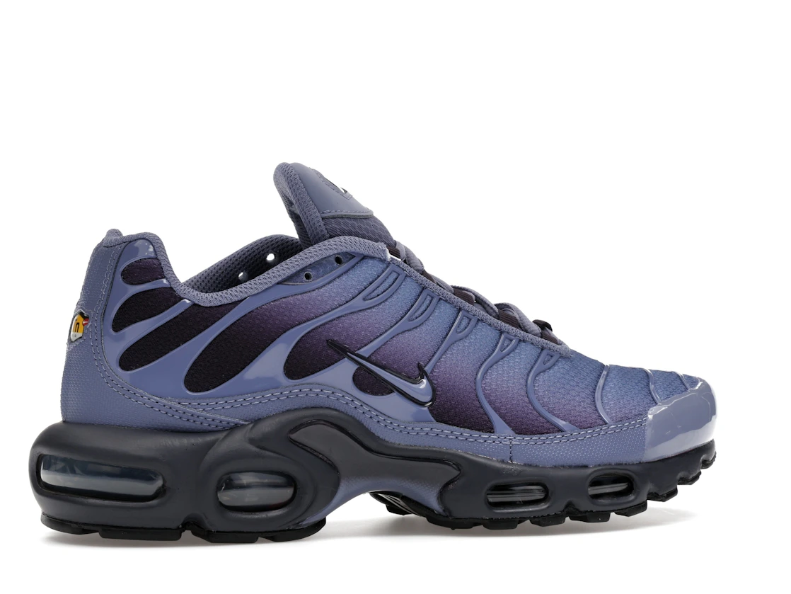 Nike Air Max Plus World Indigo