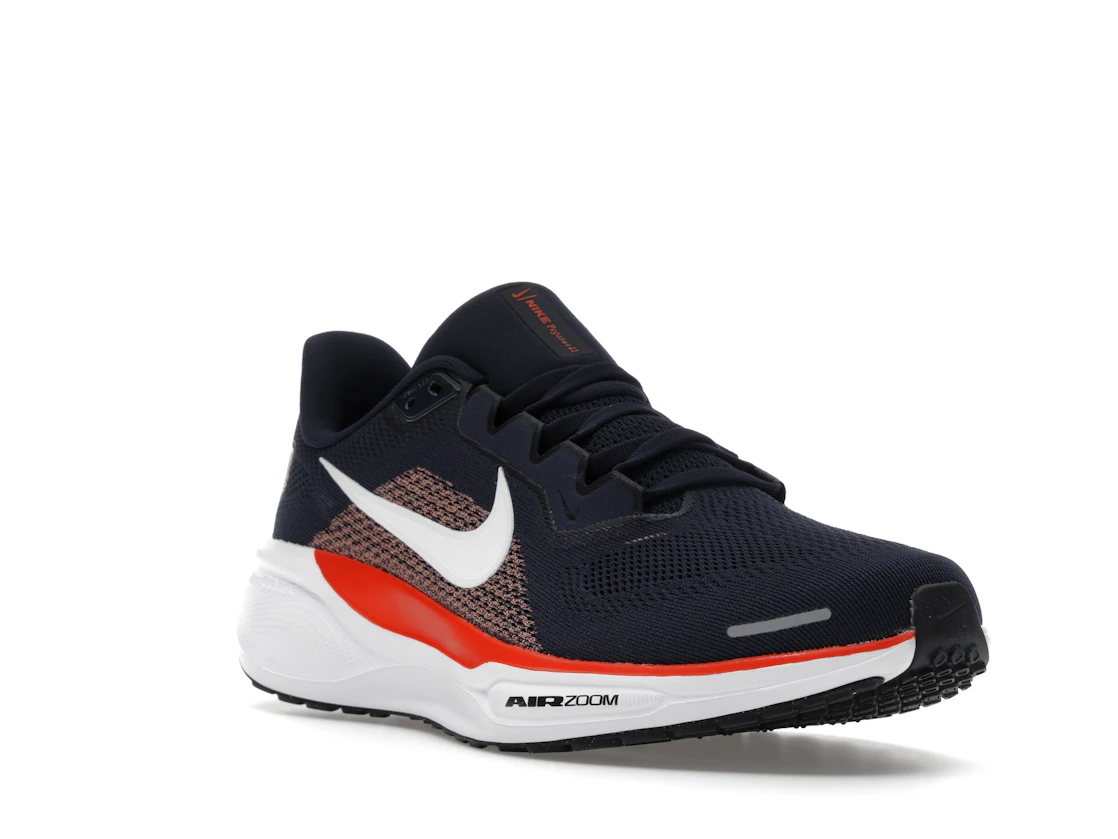 Nike Air Zoom Pegasus 41 Chicago Bears (2025)
