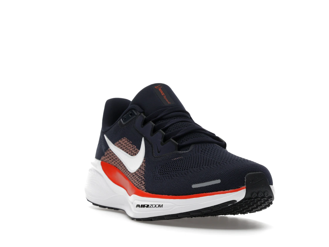 Nike Air Zoom Pegasus 41 Chicago Bears (2025)