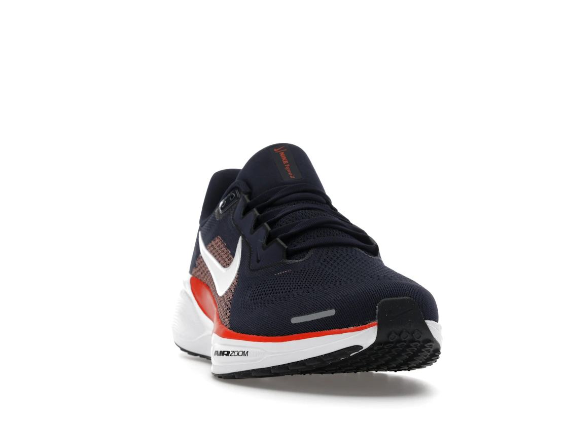 Nike Air Zoom Pegasus 41 Chicago Bears (2025)