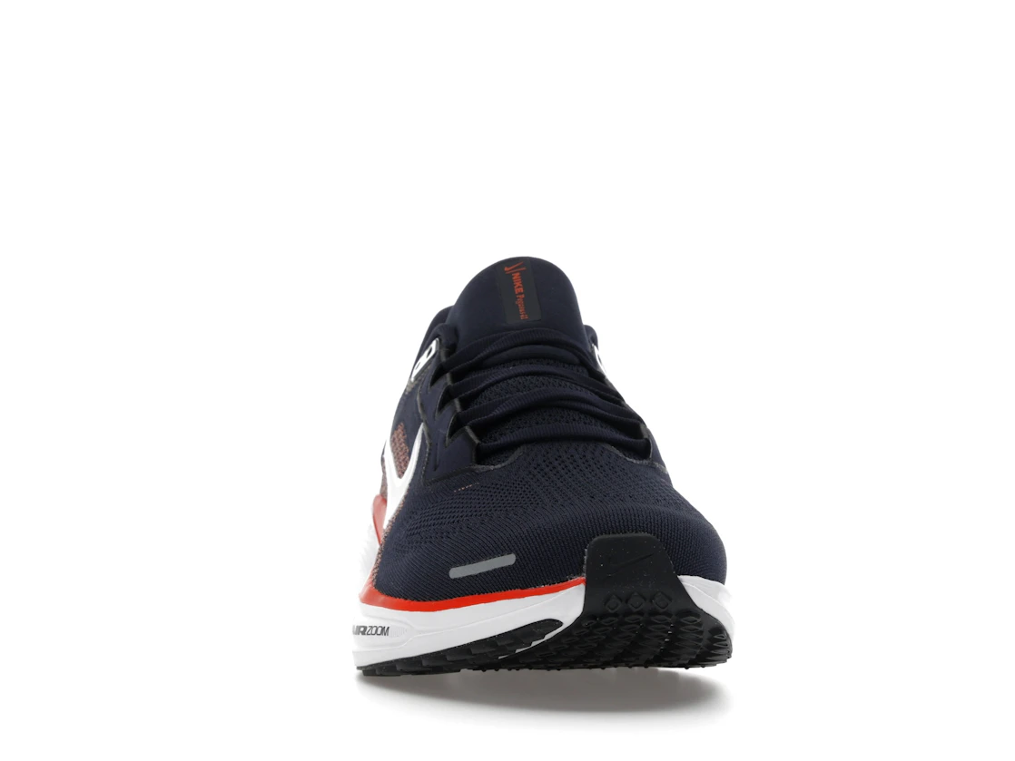 Nike Air Zoom Pegasus 41 Chicago Bears (2025)