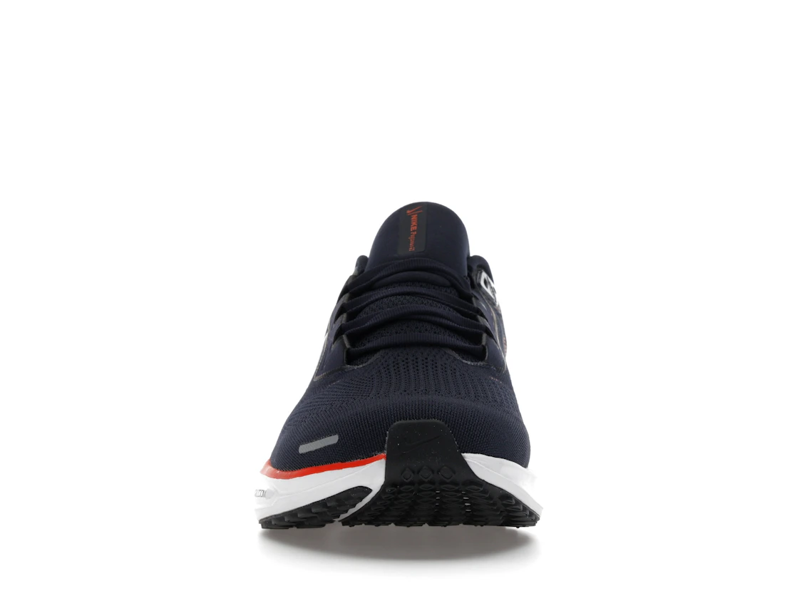 Nike Air Zoom Pegasus 41 Chicago Bears (2025)