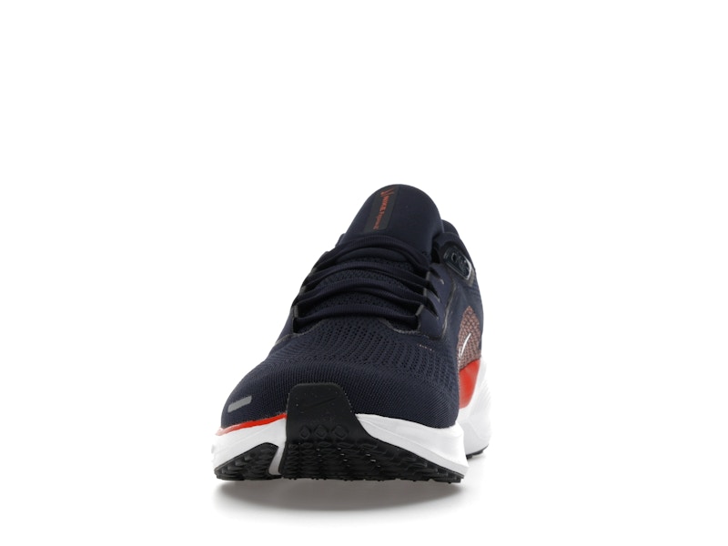 Nike Air Zoom Pegasus 41 Chicago Bears (2025)