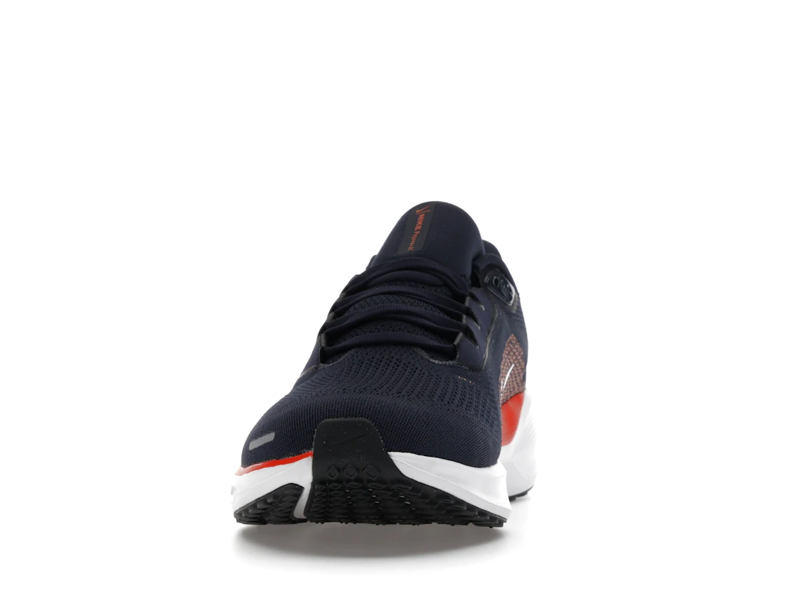 Nike Air Zoom Pegasus 41 Chicago Bears (2025)