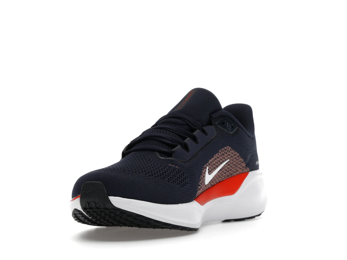 Nike Air Zoom Pegasus 41 Chicago Bears (2025)