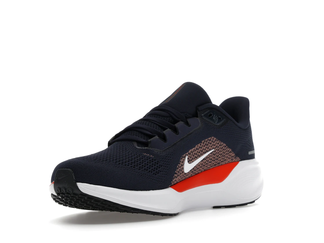 Nike Air Zoom Pegasus 41 Chicago Bears (2025)
