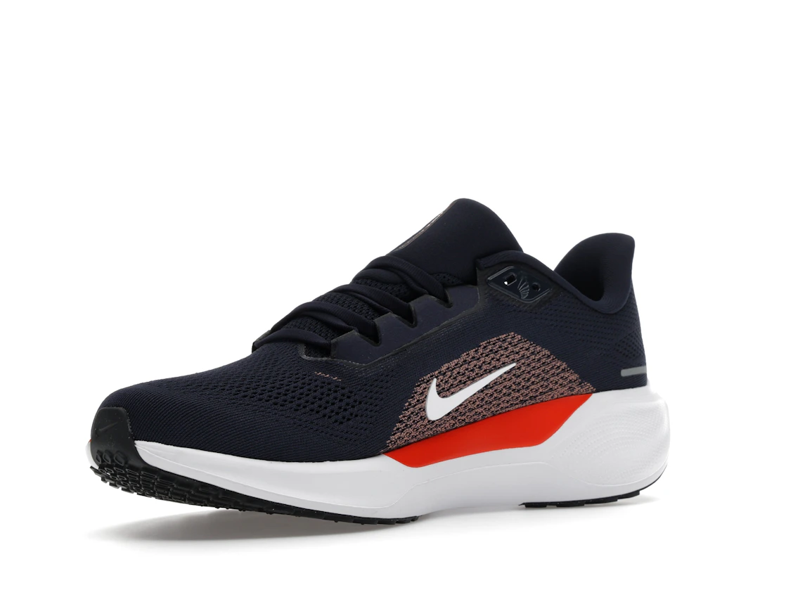 Nike Air Zoom Pegasus 41 Chicago Bears (2025)