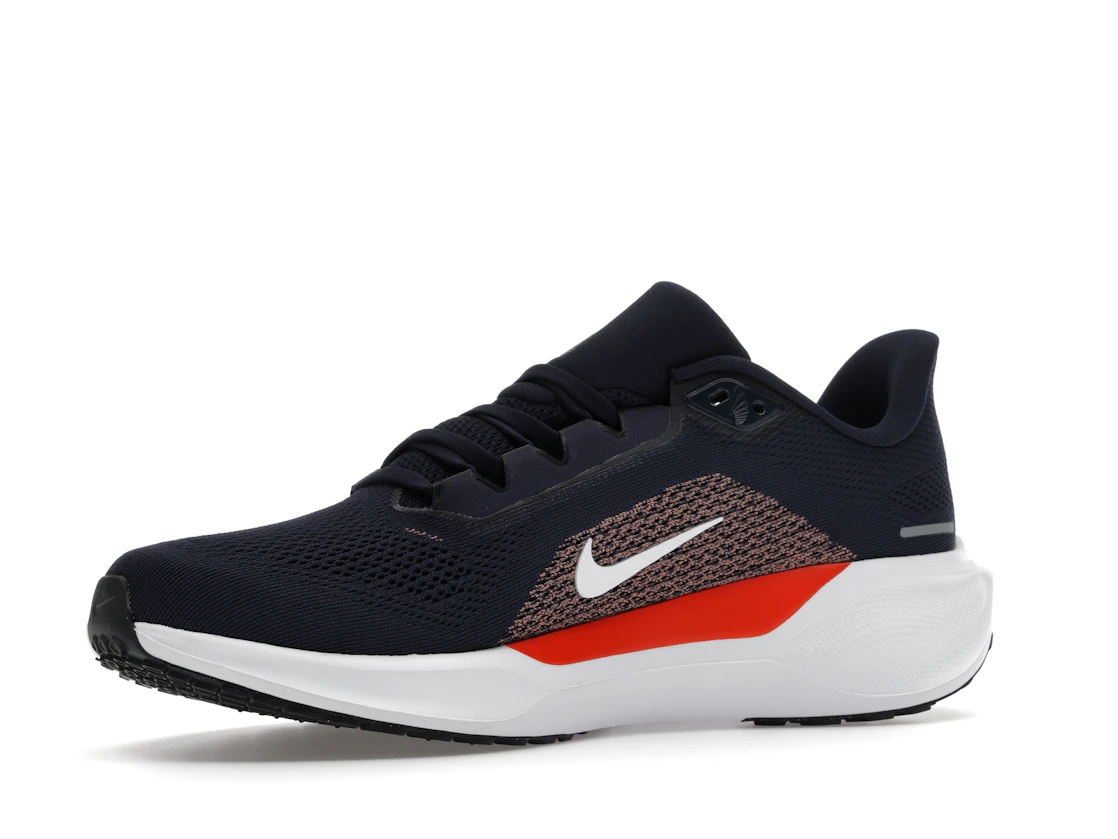 Nike Air Zoom Pegasus 41 Chicago Bears (2025)
