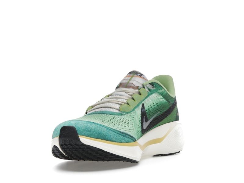 Nike Air Zoom Pegasus 41 Waffle Racer