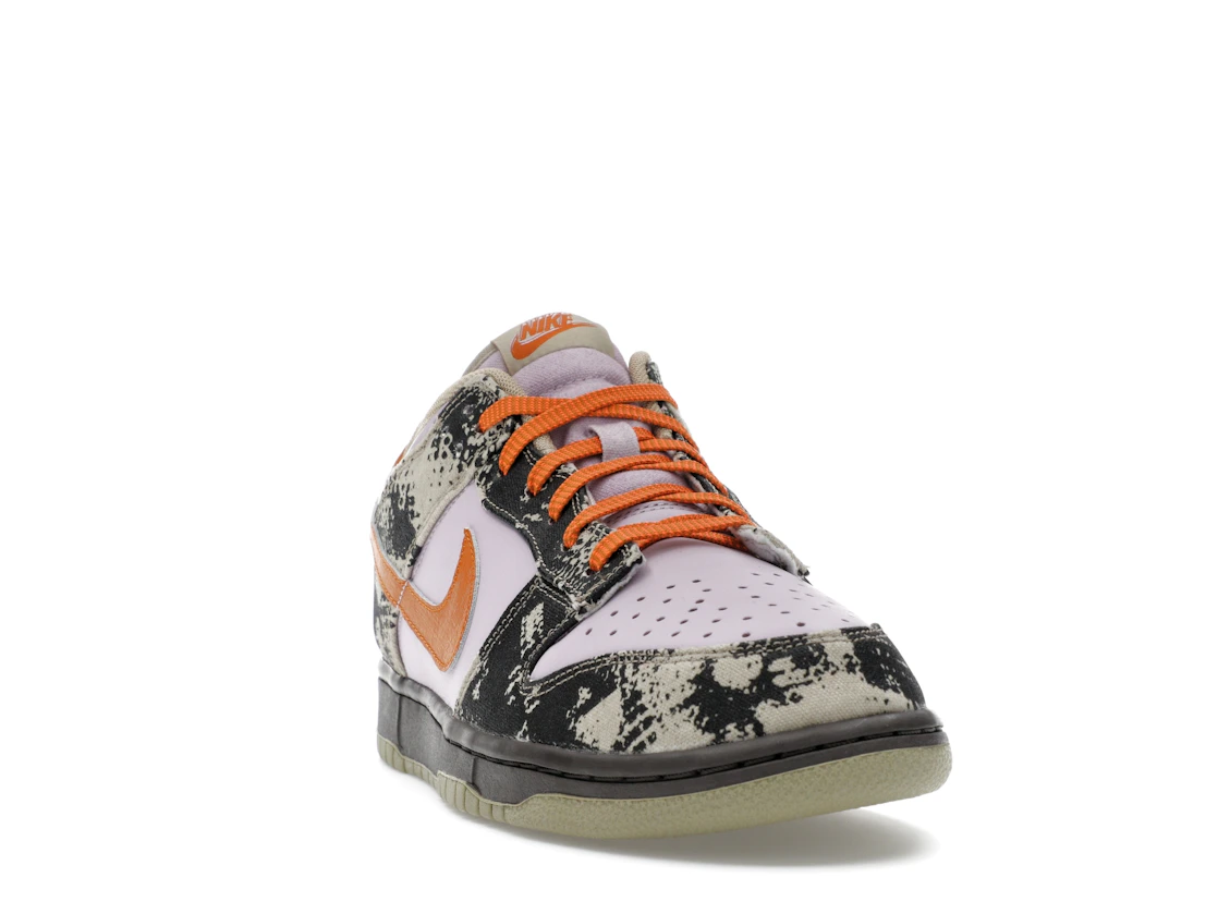 Nike Dunk Low Retro LTD Punk Rock Digital Camo