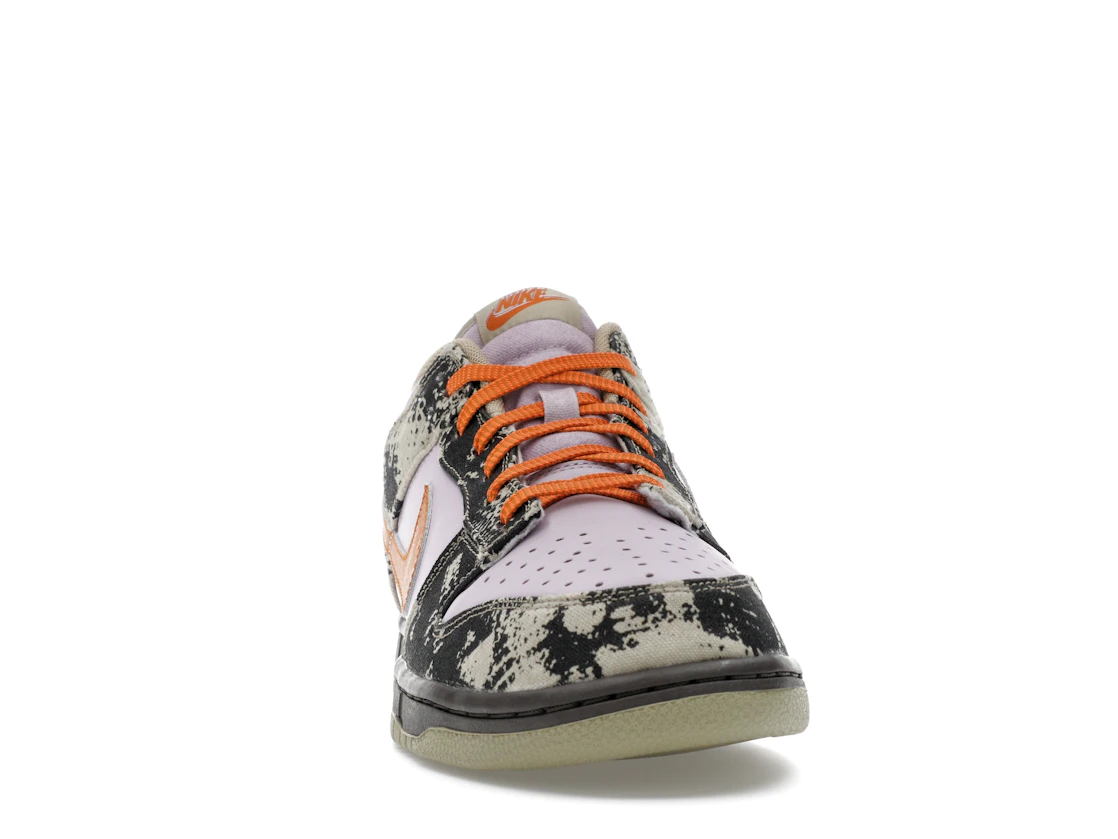 Nike Dunk Low Retro LTD Punk Rock Digital Camo