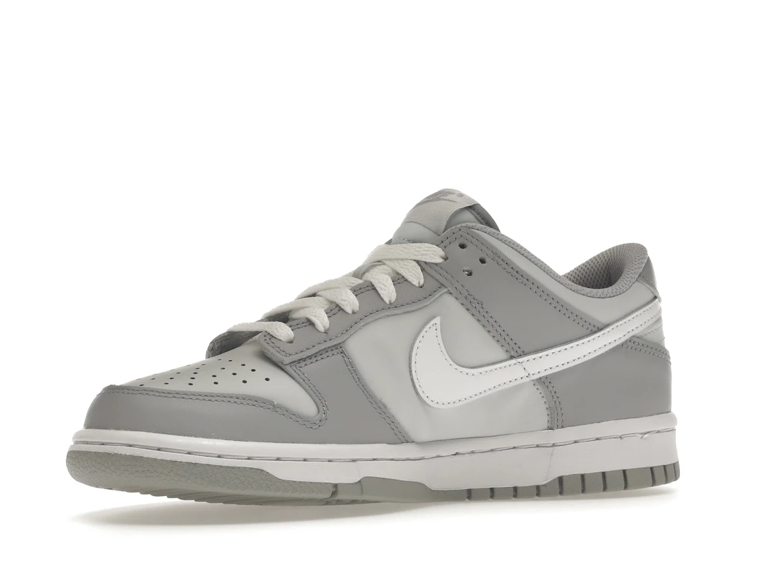 Nike Dunk Low Two-Toned Grey (GS)