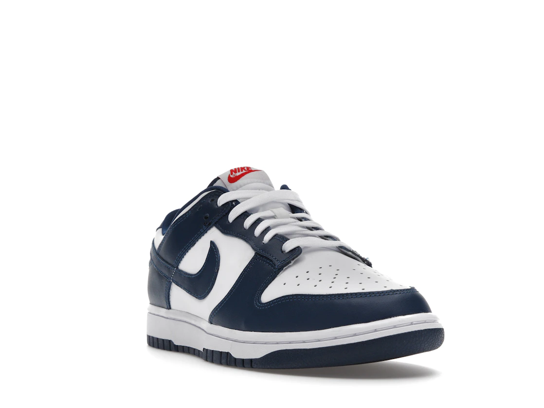 Nike Dunk Low Valerian Blue