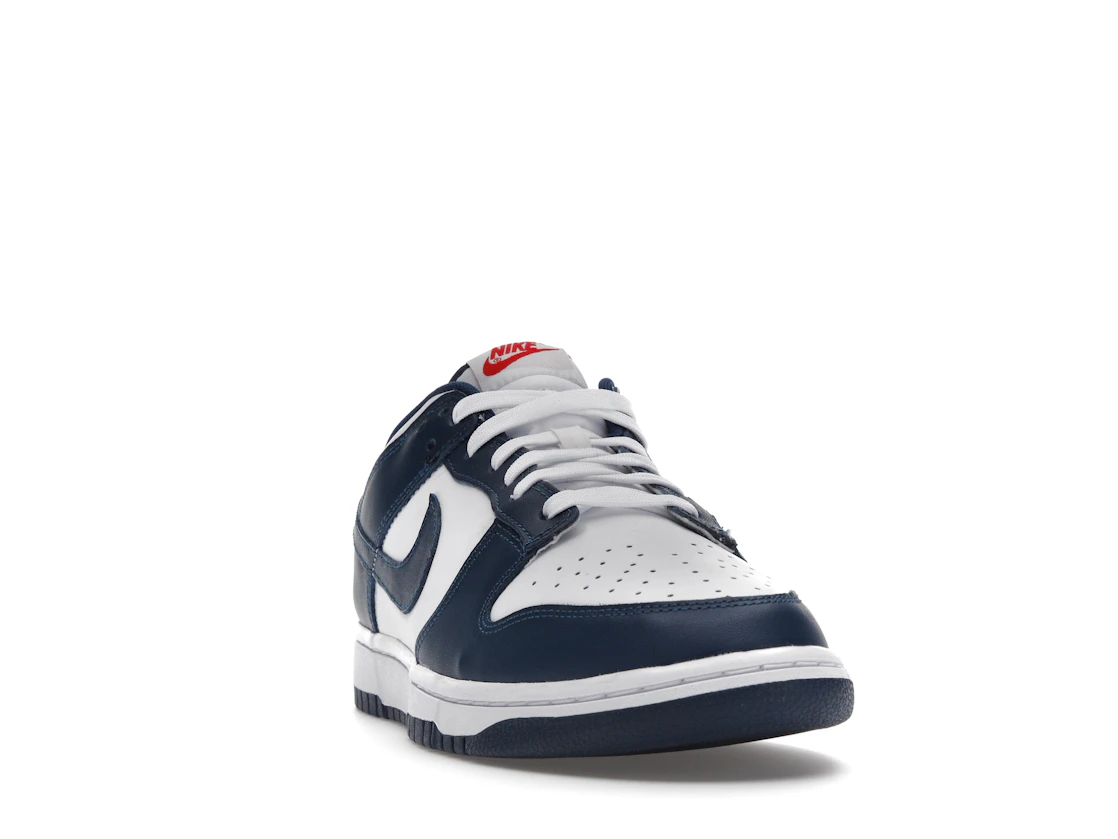 Nike Dunk Low Valerian Blue