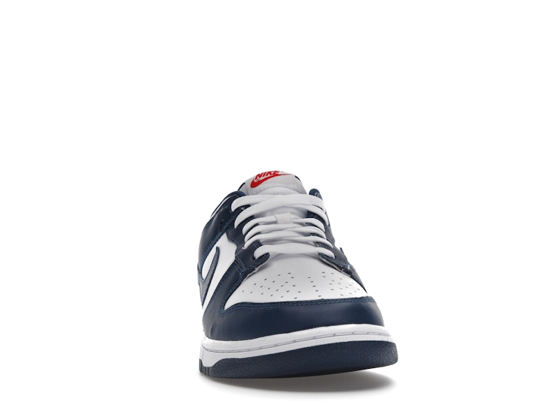 Nike Dunk Low Valerian Blue