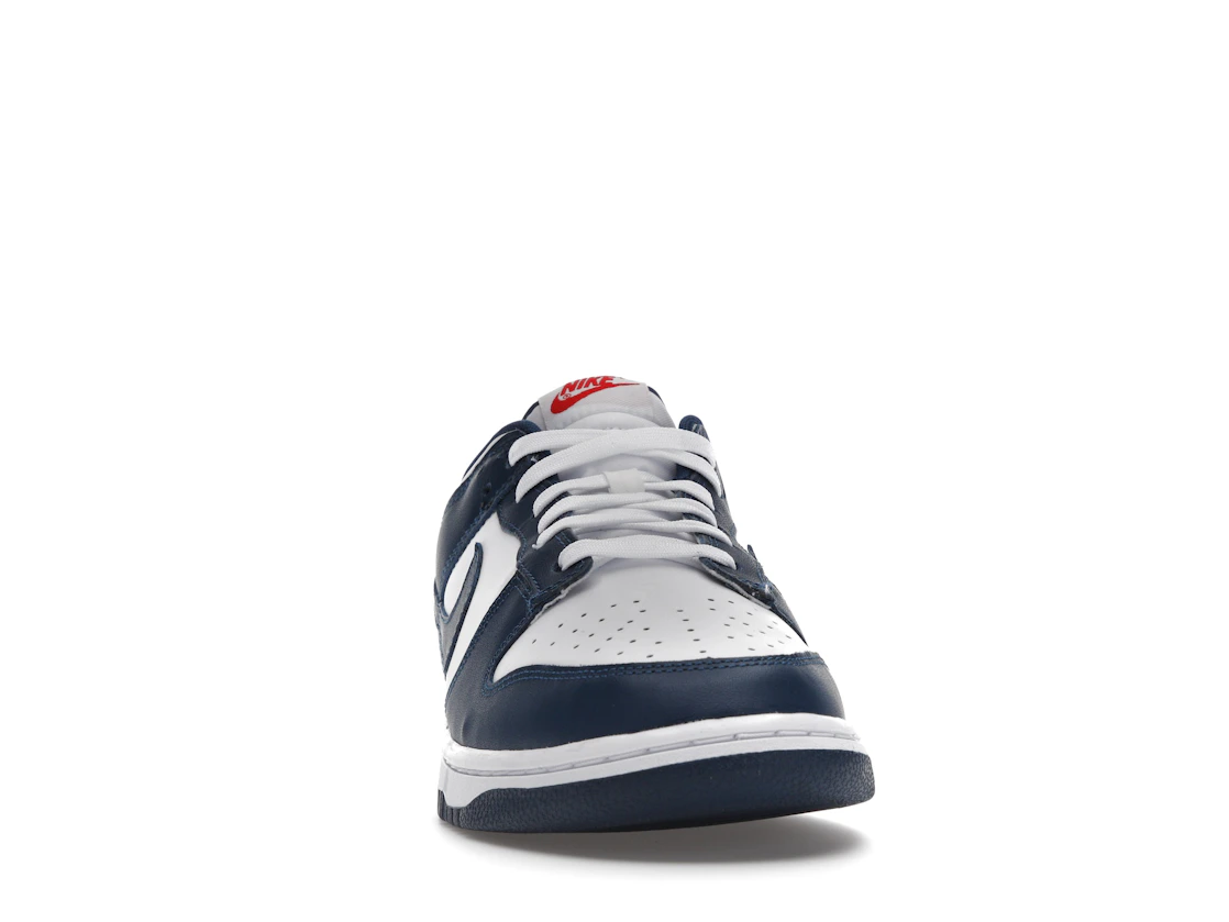 Nike Dunk Low Valerian Blue