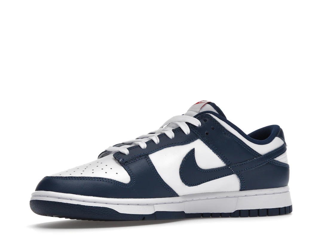 Nike Dunk Low Valerian Blue