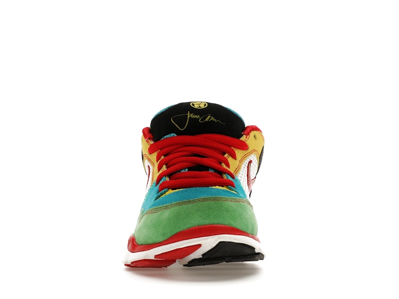 Nike Free Rod Plus Multicolor