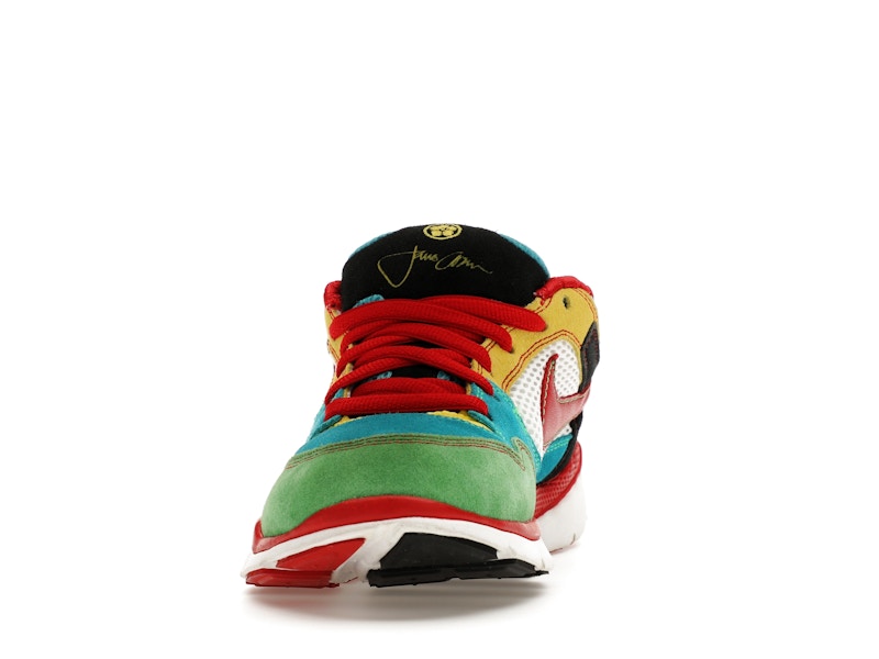 Nike Free Rod Plus Multicolor