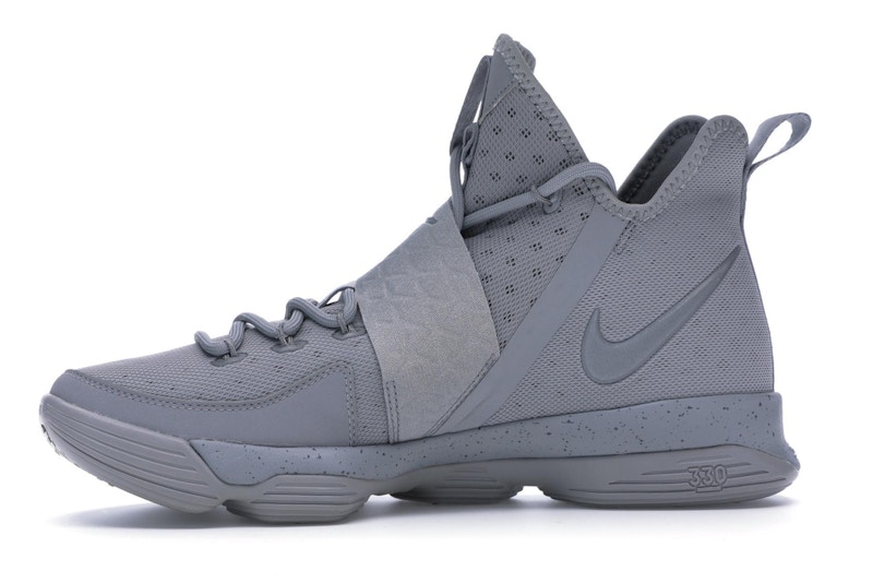 Lebron 14 silver