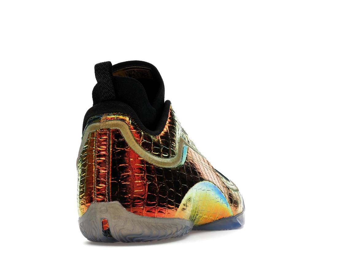 Nike LeBron 23 LX All-Star Warning Label