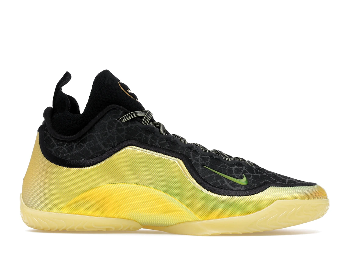 Nike LeBron 23 Elite Hurt Feelings Write History