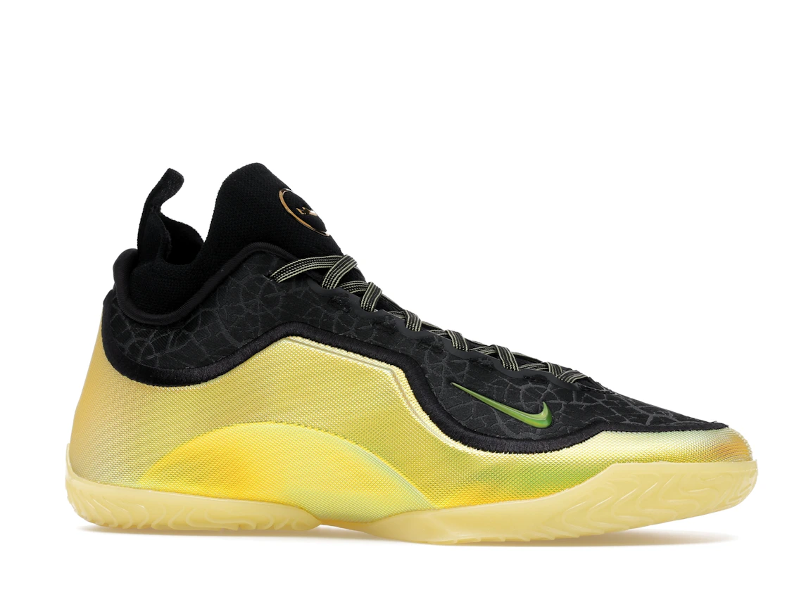 Nike LeBron 23 Elite Hurt Feelings Write History